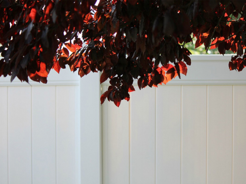 Custom Railing